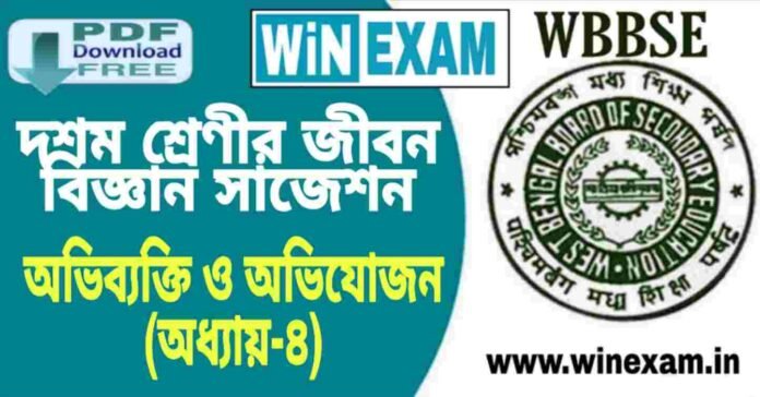 দশম শ্রেণীর জীবন বিজ্ঞান - অভিব্যক্তি ও অভিযোজন (অধ্যায়-৪) সাজেশন | WBBSE Class 10th Life Science Suggestion PDF