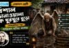 বিশাল ডানাওয়ালা এক থুরথুরে বুড়ো (আন্তর্জাতিক গল্প) গ্যাব্রিয়েল গার্সিয়া মার্কেজ – একাদশ শ্রেণীর বাংলা প্রশ্ন ও উত্তর | WBCHSE Class 11 Bengali Bisal Danawala ek Thurthure Buro MCQ Question and Answer PDF WBCHSE Class 11 Bengali Bisal Danawala ek Thurthure Buro MCQ Question and Answer PDF